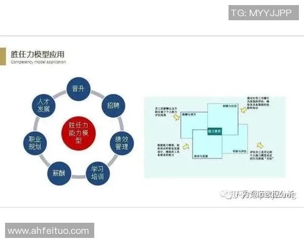 深圳排球队在大师赛中的个人能力分析与表现评估